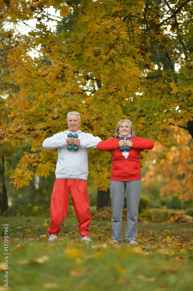 senior couple doing exercises senior couple doing exercises