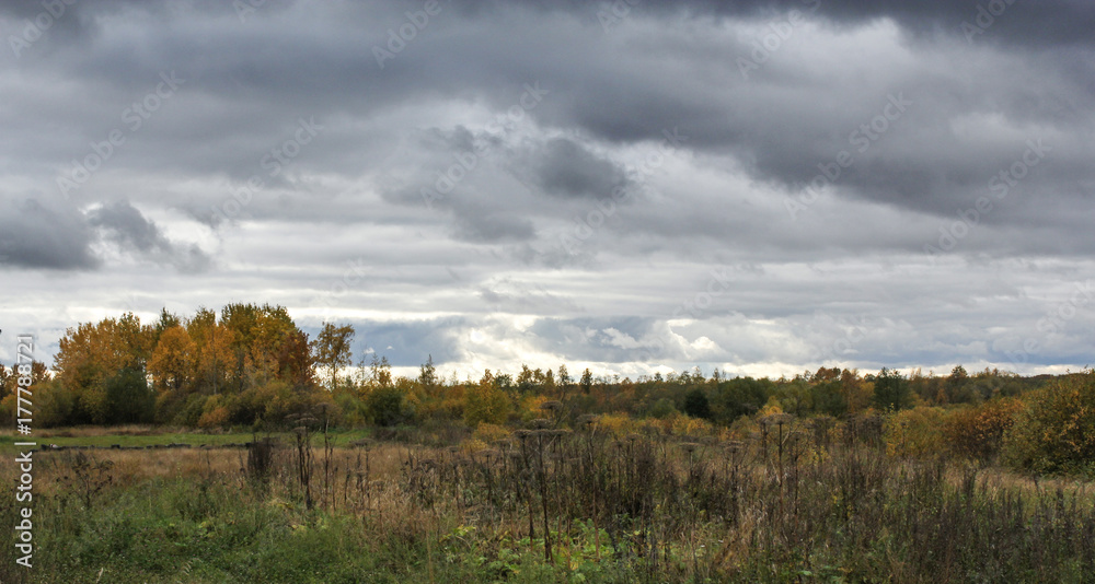 Gray clouds over the forest.