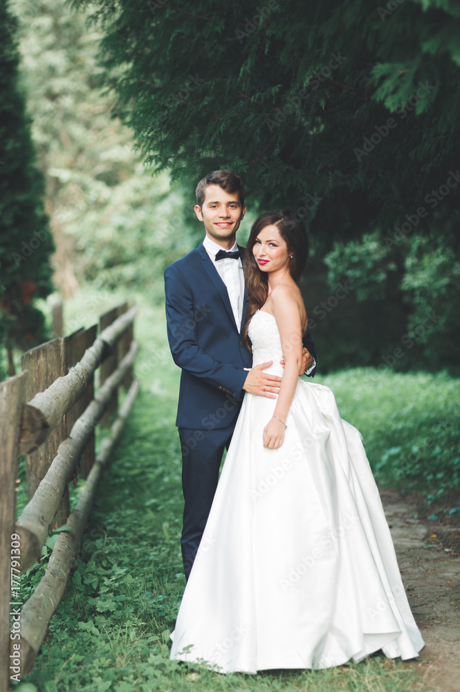 Beautiful couple posing in park. Honeymoon newlywed in love holding hands Beautiful couple posing in park. Honeymoon newlywed in love holding hands