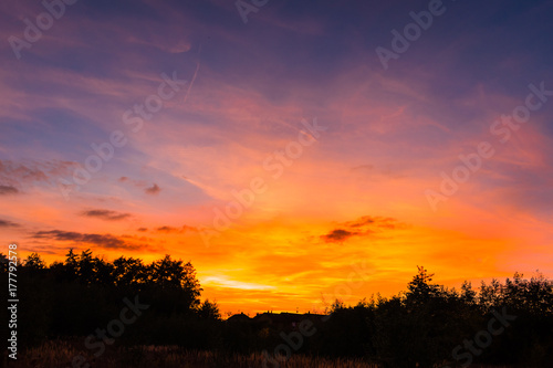 Fototapeta Naklejka Na Ścianę i Meble -  Beautiful vibrant sunset above a forest