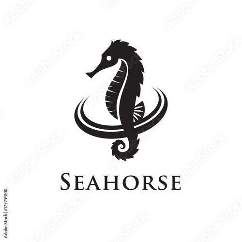 seahorse with circle logo