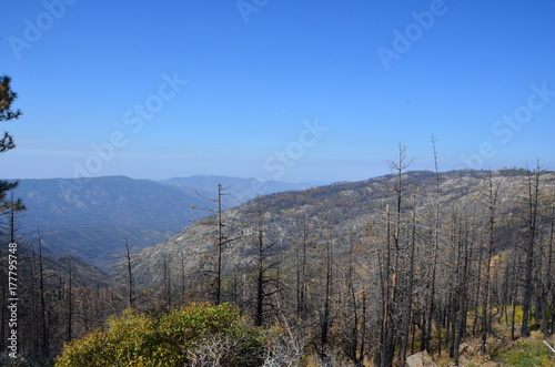 Waldbrand