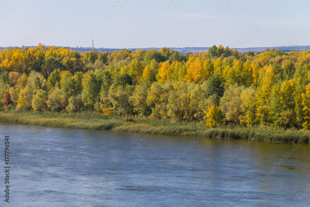 Colorful autumn trees on the riverfront. Colorful autumn trees on the riverfront.