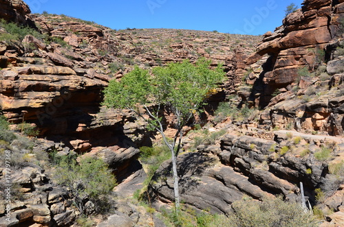 Grand Canyon