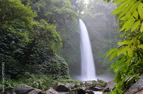 scenic view of waterfall in rainforest in Bali island surrounded by the jungle © Gatala