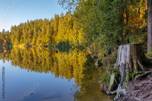 Fototapeta Naklejka Na Ścianę i Meble -  Autumn landscape - Black Forest. A small lake in the high mountains of the Black Forest in autumn.