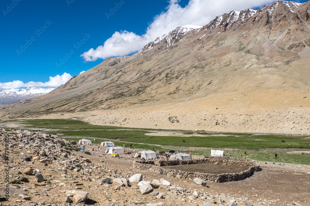 Habitat of Nomad people and their livestock near Tso Moriri Lake in Changtang, Ladakh, India