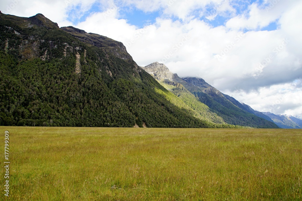Fototapeta premium Milford Sound New Zealand