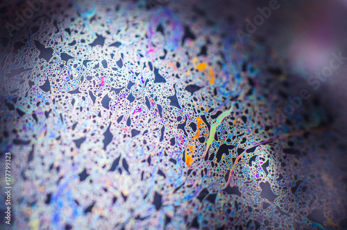 Beautiful psychedelic abstractions in soap foam