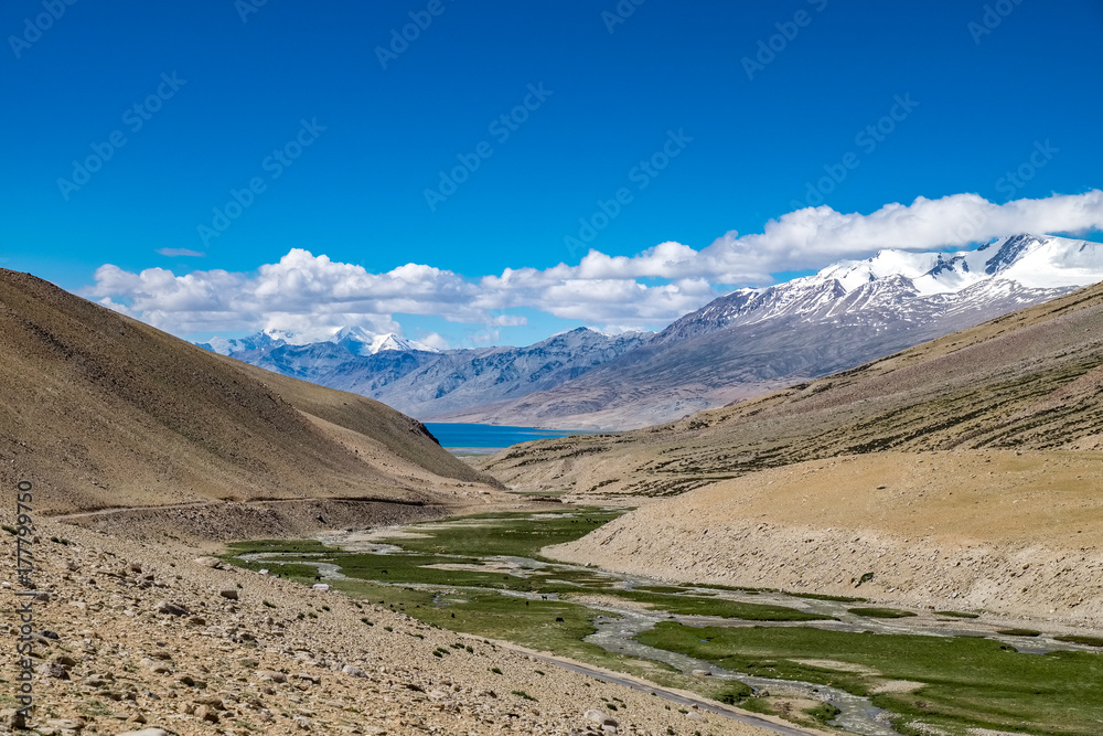 Habitat of Nomad people and their livestock near Tso Moriri Lake in Changtang, Ladakh, India