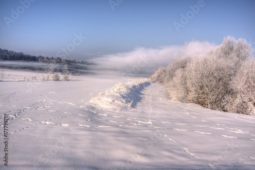 Wintermorgen mit Nebel © Thomas Otto