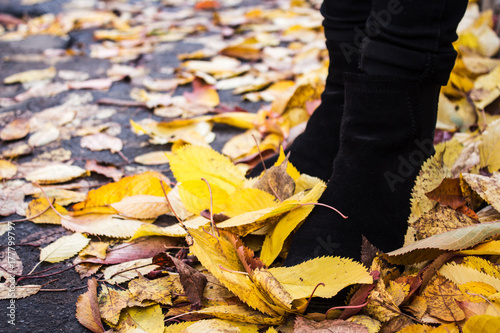 female boots in autumn leaves