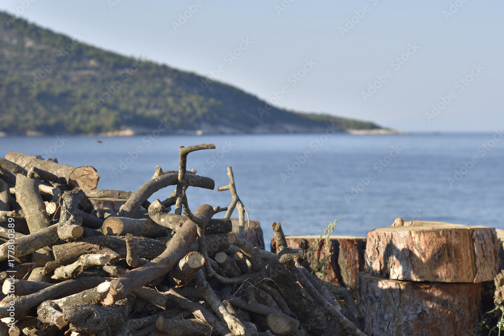 Stack of Firewood with blue sea in background.