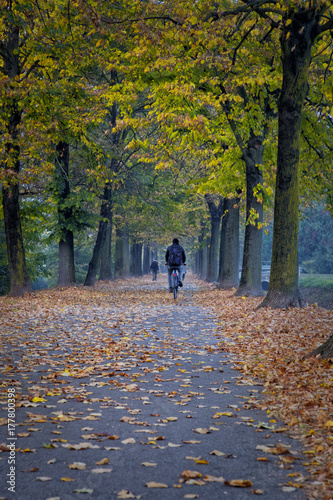 a view of an autumn way