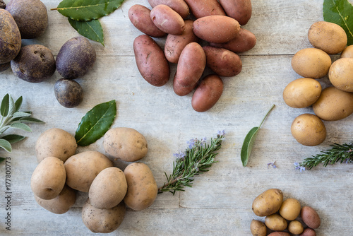 patate rosse, bianche e viola e erbe aromatiche. Vista dall'alto