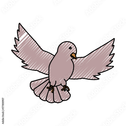 peace dove  vector illustration
