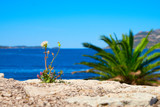 paradise at the mediterranean sea