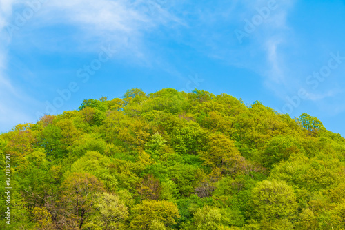 Blue cloudy sky over the mountain top with thicket of trees in sunny summer day