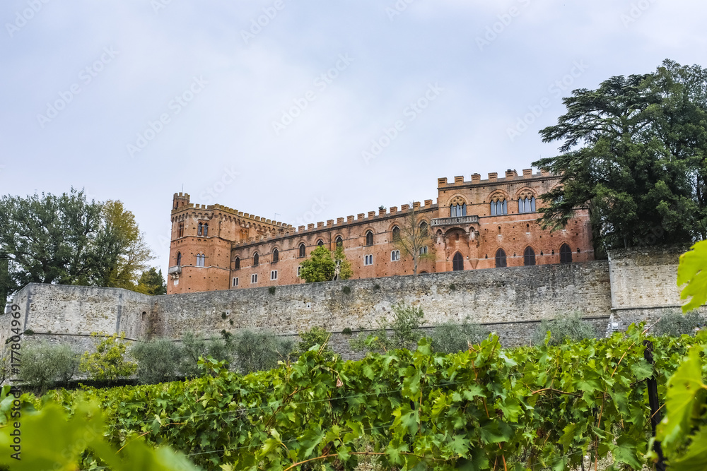 Castle Brolio and a vineyard in Tuscany in Italy