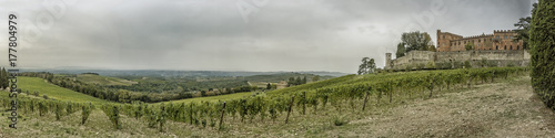 Panorama over the hills with vineyards and castle Brolio in Tuscany in Italy photo