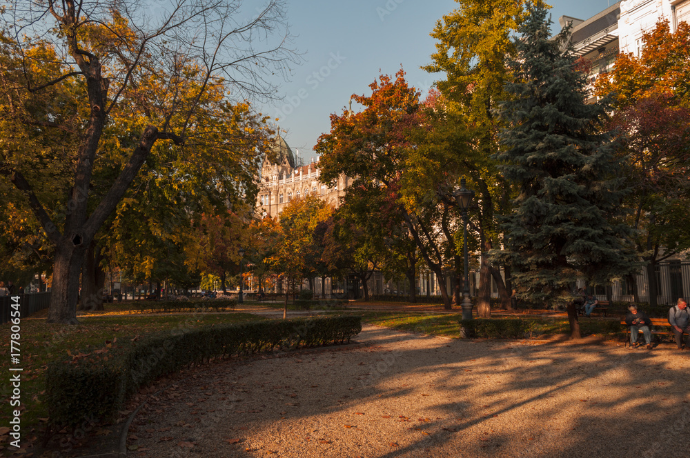 Naklejka premium city park of Budapest, Liberty square. autumn beauty park in Budapest