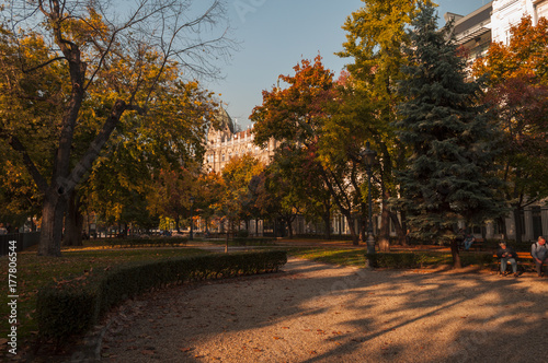 city park of Budapest, Liberty square. autumn beauty park in Budapest
