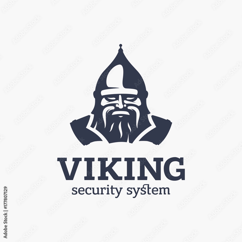 Modern vector professional sign logo viking system
