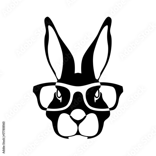 rabbit face head in glasses vector illustration flat
