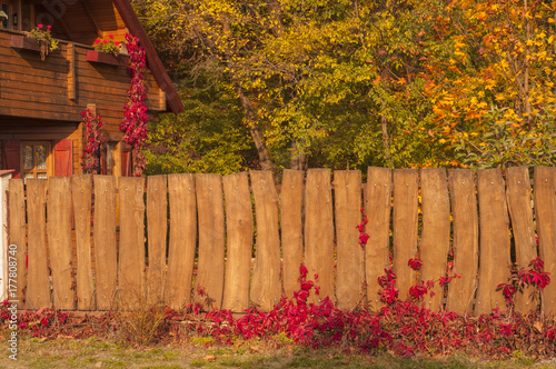 Fototapeta Naklejka Na Ścianę i Meble -  neighbor autumn colored fence 