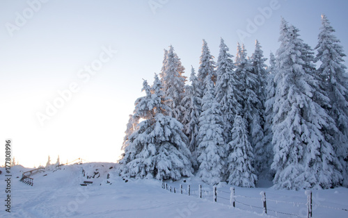 Winterwunderland © swa182