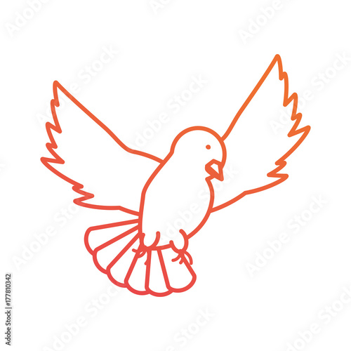 peace dove  vector illustration