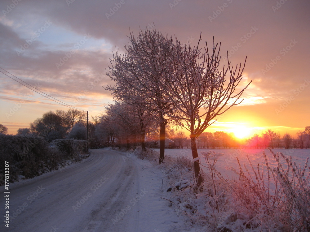 Winter Sun Winter Sun