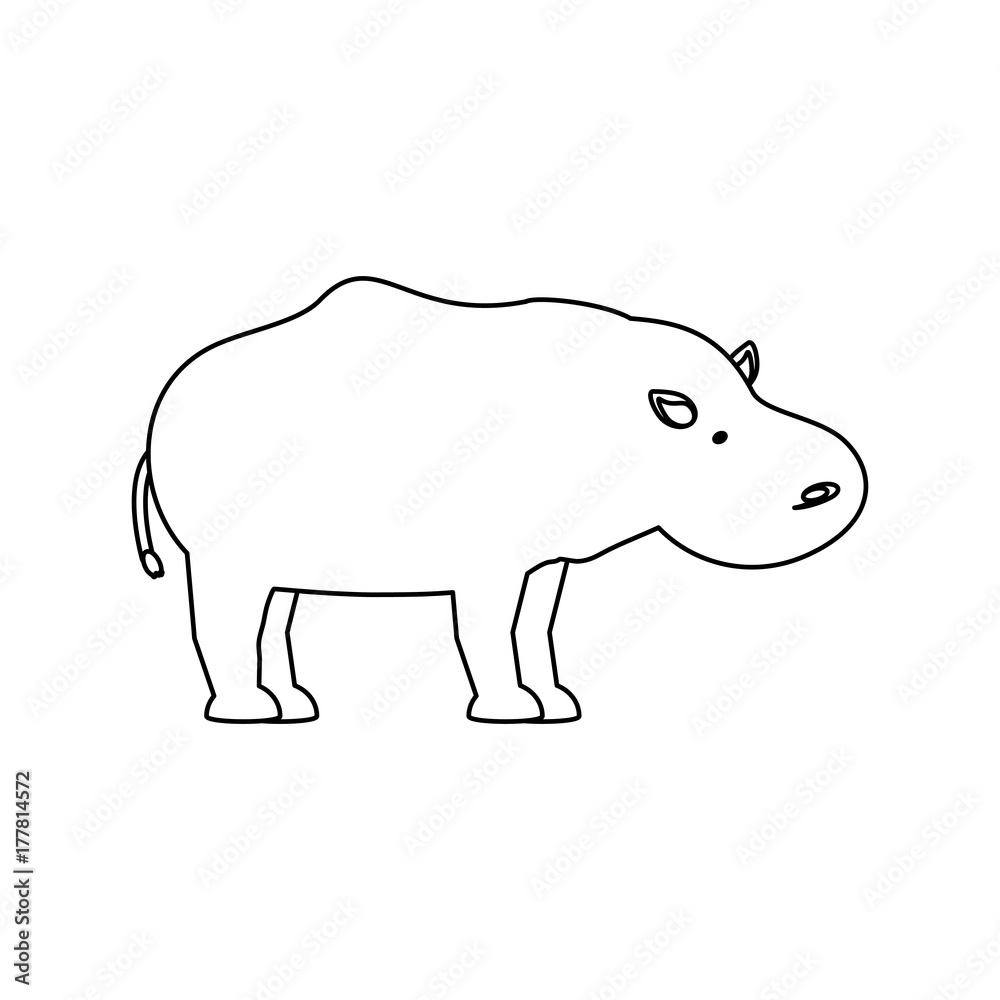 safari animals design safari animals design