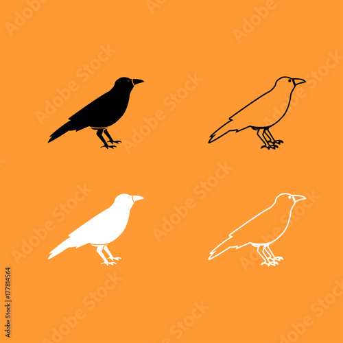 Crow black and white set icon .
