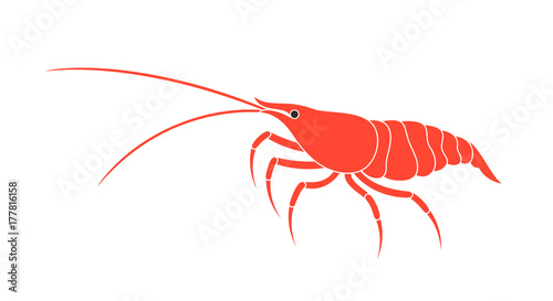 Shrimp silhouette. Isolated shrimp on white background