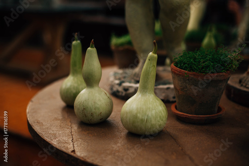 Bottle gourds