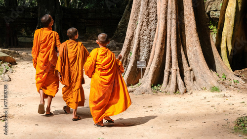3 little monks look up for hugh bayan tree at Ta Prohm Temple, Siem Reap, Cambodia