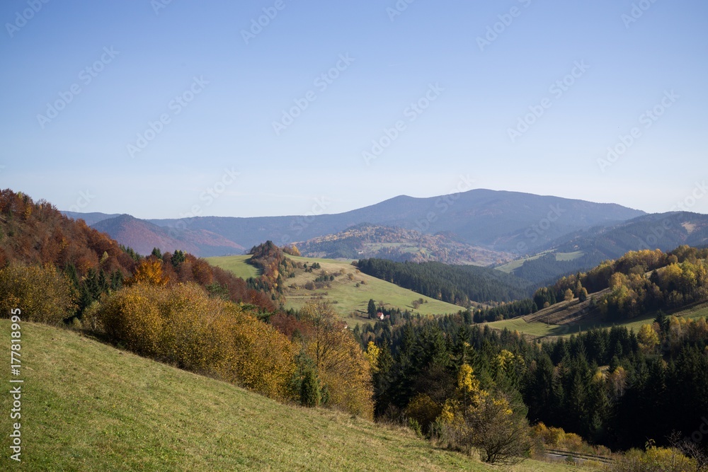 Colorful autumn leaves on the trees in nature. Slovakia Colorful autumn leaves on the trees in nature. Slovakia