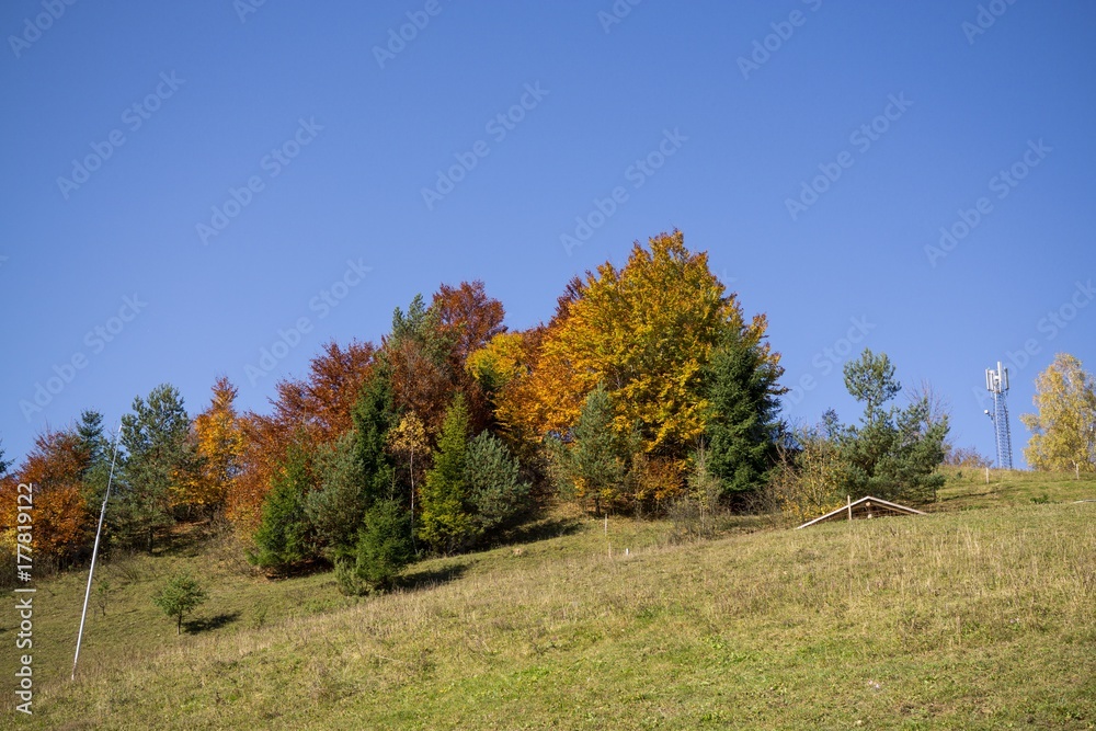 Colorful autumn leaves on the trees in nature. Slovakia Colorful autumn leaves on the trees in nature. Slovakia