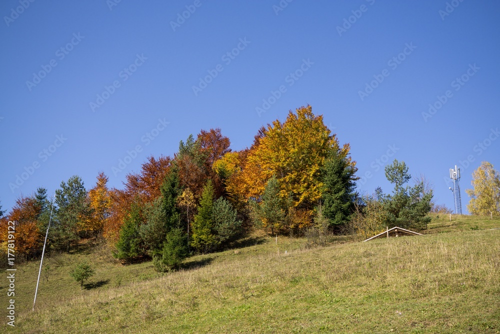 Colorful autumn leaves on the trees in nature. Slovakia