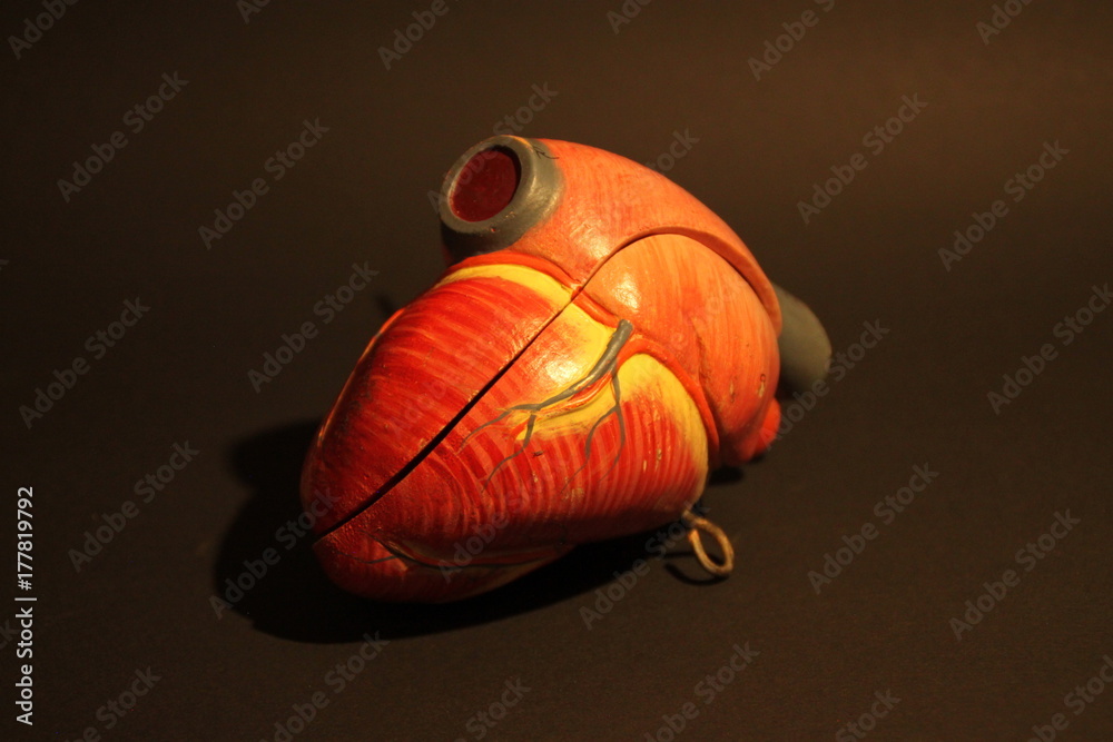 Herz Stock Photo | Adobe Stock