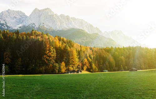 trees with sunny beams at mountain valley. Dramatic and picturesque morning scene. Red and yellow leaves. © alimyakubov