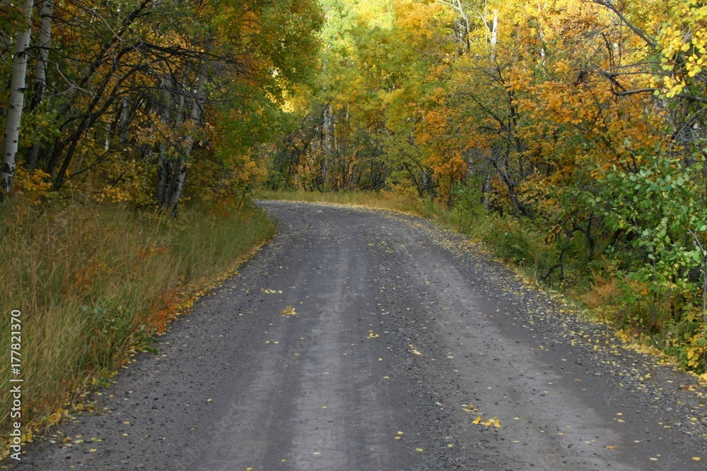 Fall Colors in the Rocky Mountains