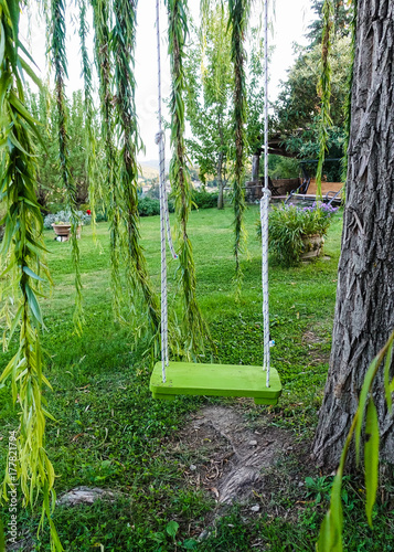 Swing on Tree 