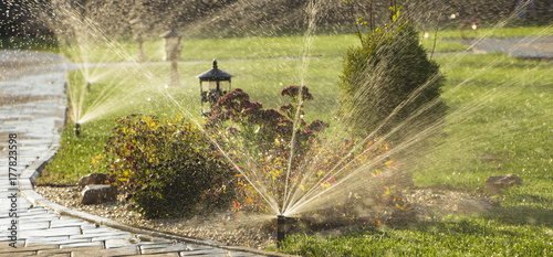 A rotating sprinkler spraying a water into the backyard