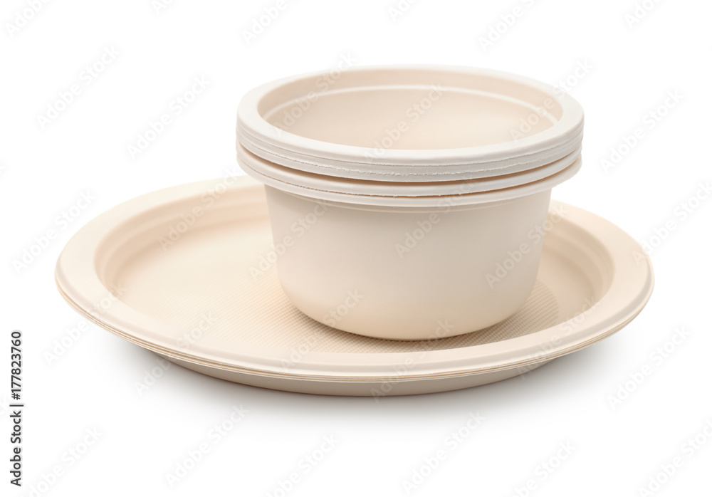 Set of biodegradable plastic dishware