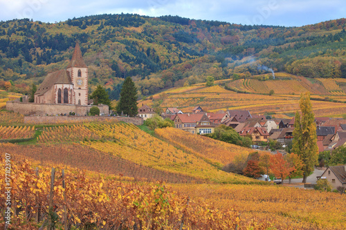 Village d Hunawihr en Automne  Alsace 
