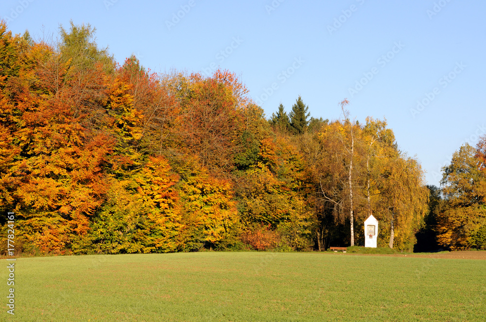 Herbstlandschaft mit Bildstock