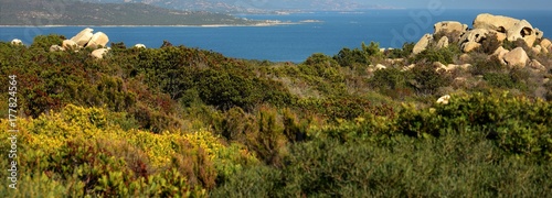 Slika na platnu Corsica