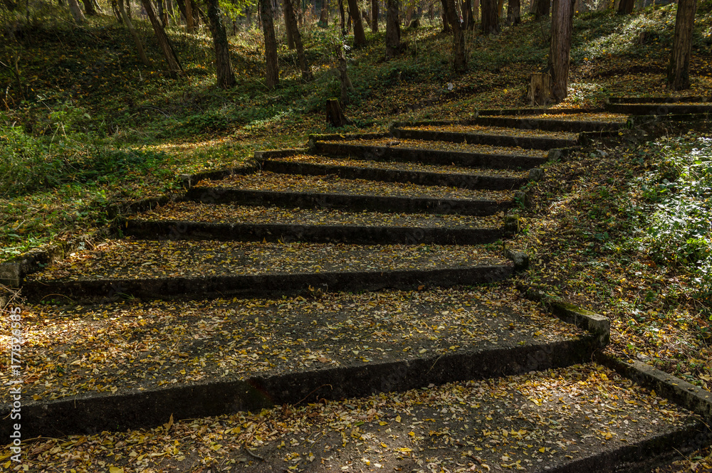 Stairs in a city park covered with yellow leaves Stairs in a city park covered with yellow leaves